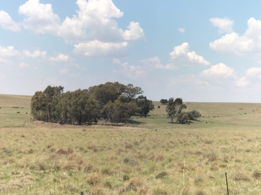 0 Bedroom Property for Sale in Bethlehem Rural Free State